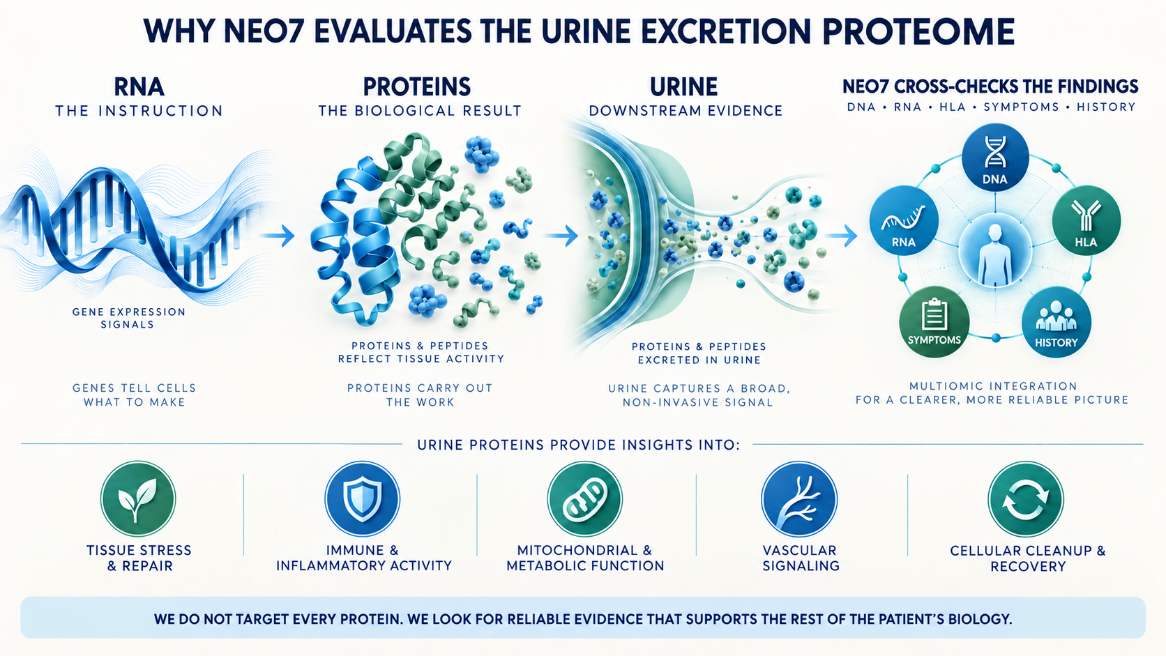 urine proteome